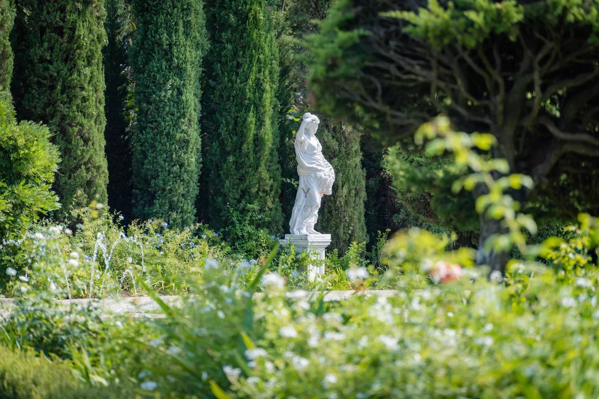 villa en location saisonnière sur Cannes (06400)