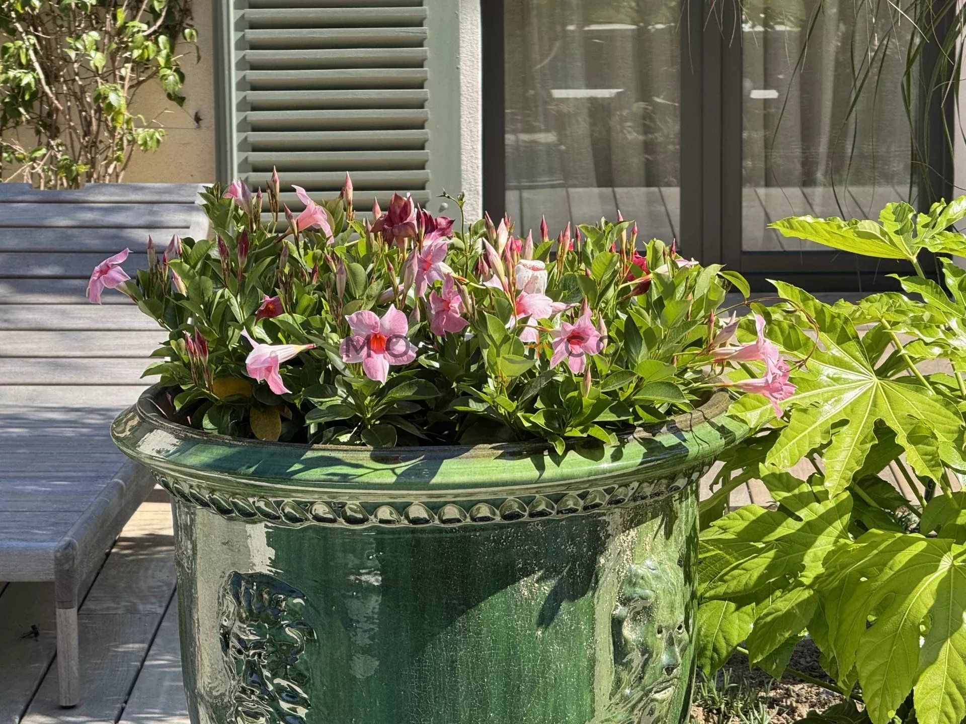 villa en location saisonnière sur Saint-Tropez (83990)