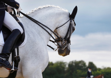 Événements équestres d’exception sur la Côte d’Azur : le rendez-vous glamour du Longines Global Champions Tour 2025